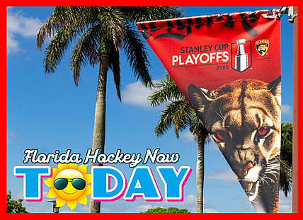 Florida panthers