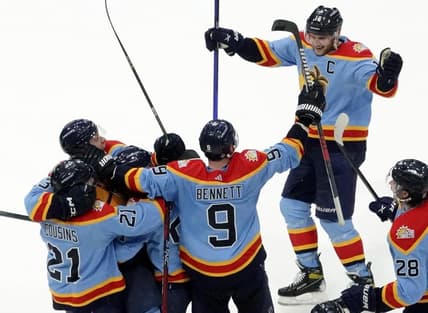 Florida panthers