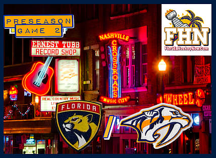 Florida panthers