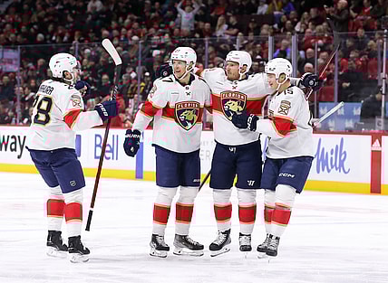 Florida panthers