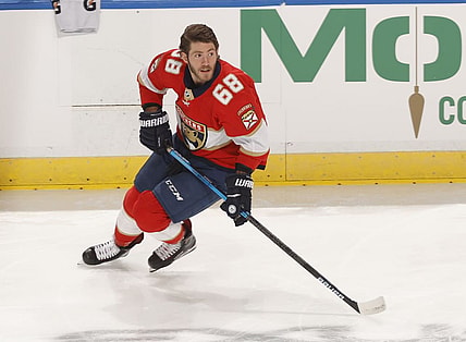 Florida mike hoffman panthers