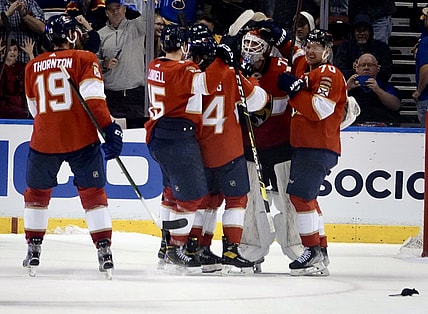 Florida panthers flames