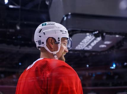 Stralman Florida Panthers waived
