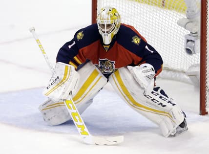 Florida panthers