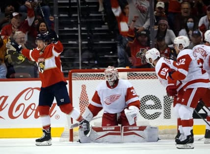 Panthers red wings