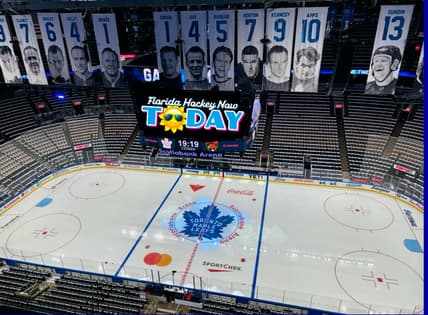 Panthers toronto