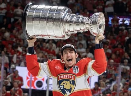 Nosek panthers