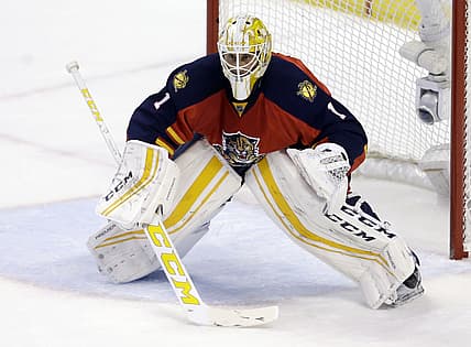 Florida panthers
