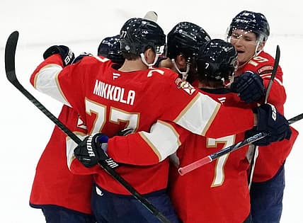 Panthers bruins