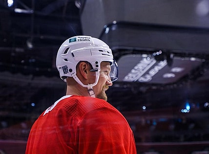 Stralman Florida Panthers waived