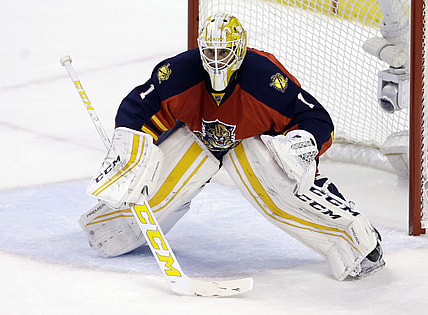 Florida panthers