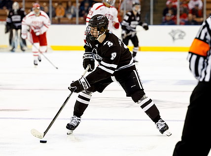 Western michigan mcallister panthers