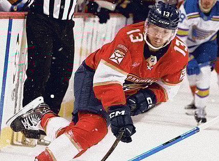 Florida panthers