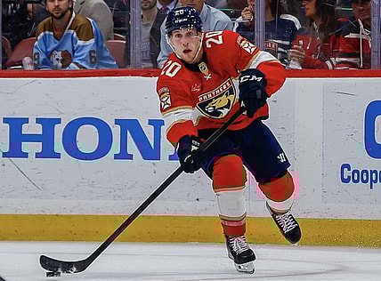 Florida panthers