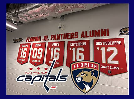 Panthers capitals