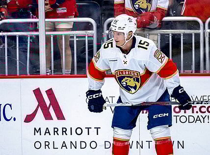 Florida panthers
