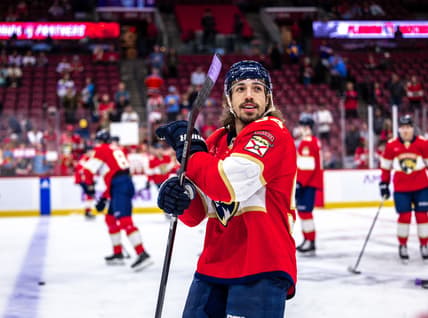 Florida panthers