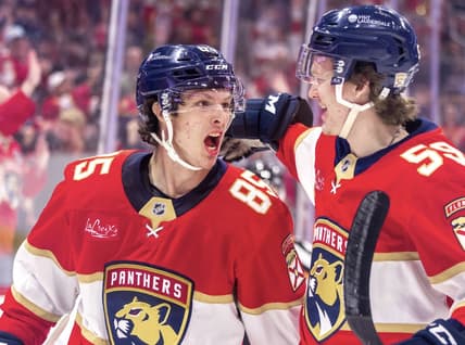 Florida panthers