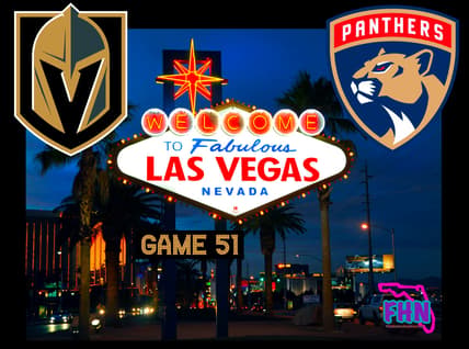 Panthers knights