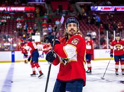 Florida panthers