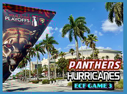 Panthers hurricanes