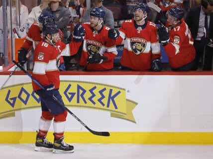 Florida panthers