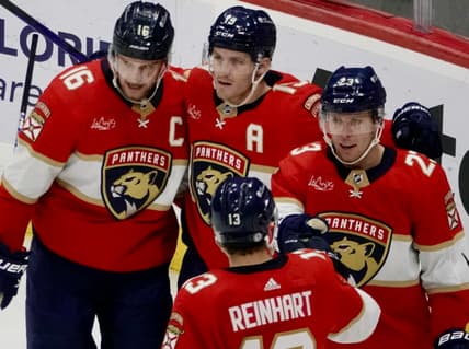 Florida panthers