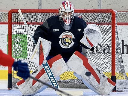 Panthers sabres