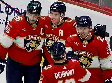 Florida panthers