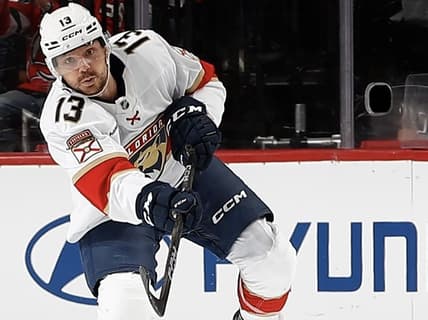 Florida panthers