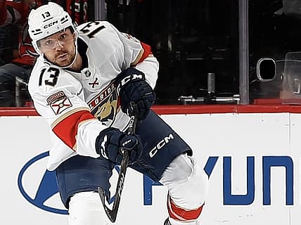 Florida panthers