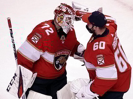 Panthers goalie Bobrovsky Driedger
