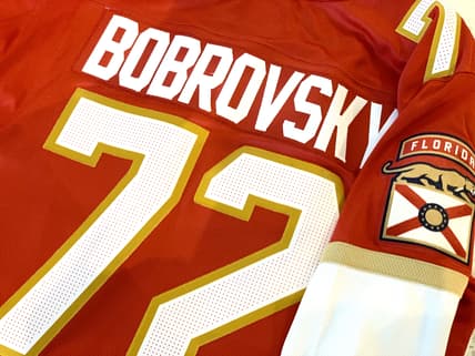 Florida panthers