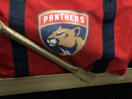 Mailbag Florida panthers