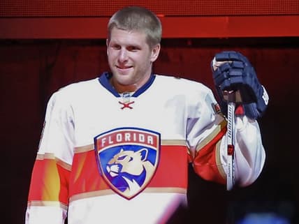 Florida panthers