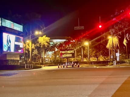 Florida panthers