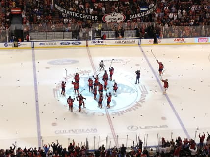 Florida panthers