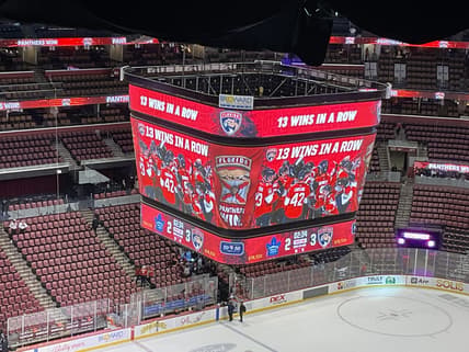 Florida panthers