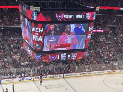 Florida panthers
