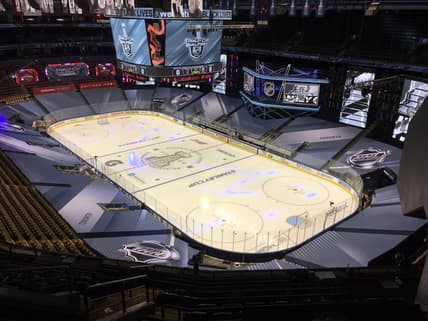 Florida panthers