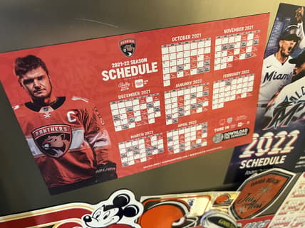 Florida panthers schedule