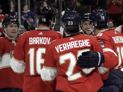 Florida panthers