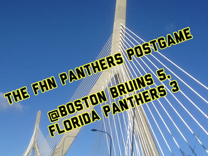 Florida panthers