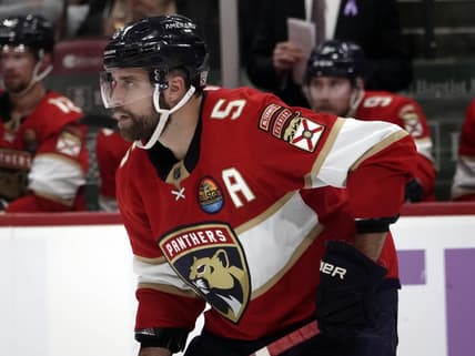 Florida panthers