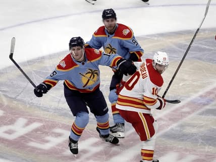 Panthers flames