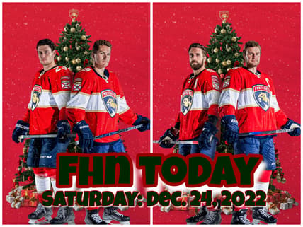 Florida panthers