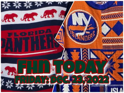 Florida panthers