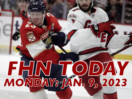 Florida panthers