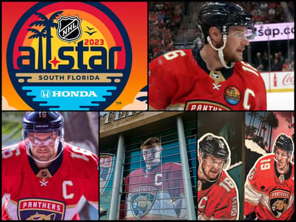 Florida panthers