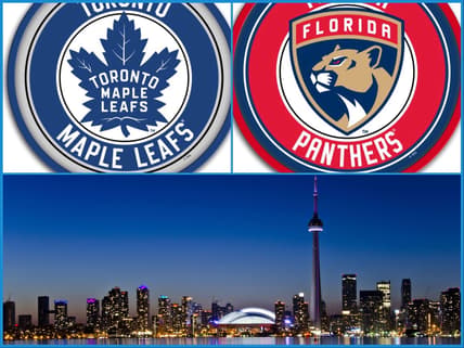 Florida panthers